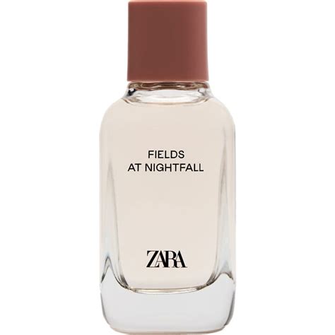 Fields at Nightfall Zara for women .